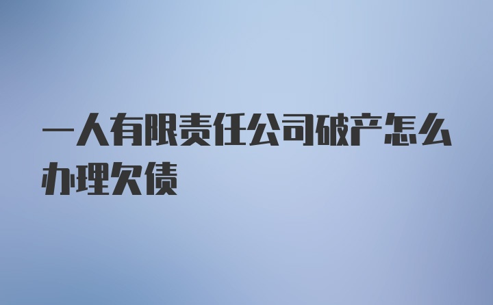 一人有限责任公司破产怎么办理欠债