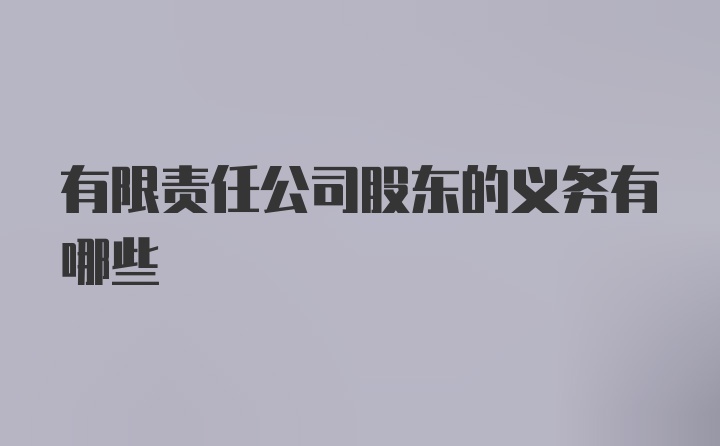 有限责任公司股东的义务有哪些