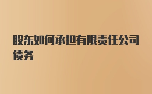 股东如何承担有限责任公司债务