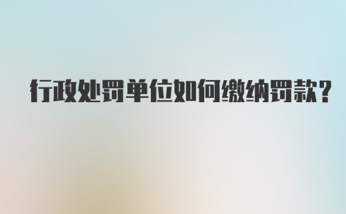 行政处罚单位如何缴纳罚款?