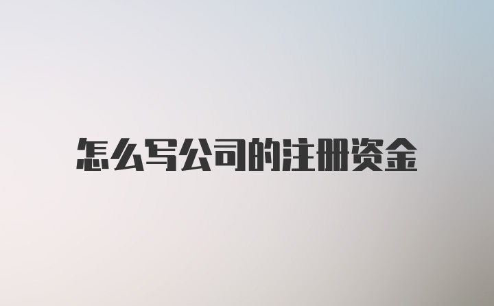 怎么写公司的注册资金