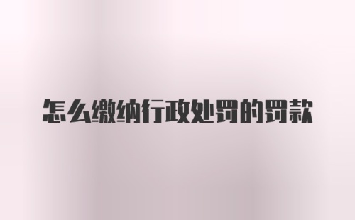 怎么缴纳行政处罚的罚款