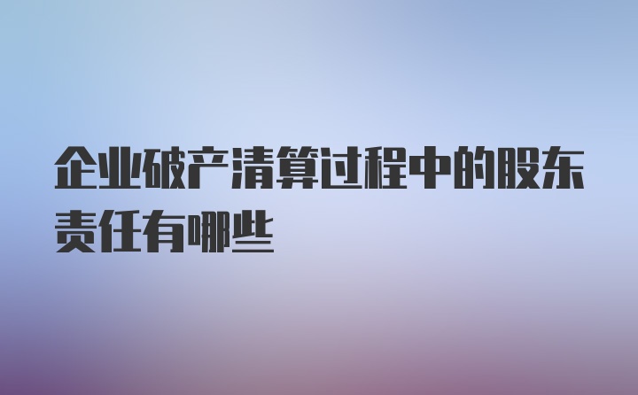 企业破产清算过程中的股东责任有哪些