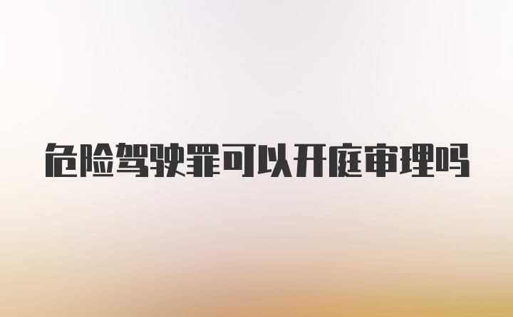 危险驾驶罪可以开庭审理吗