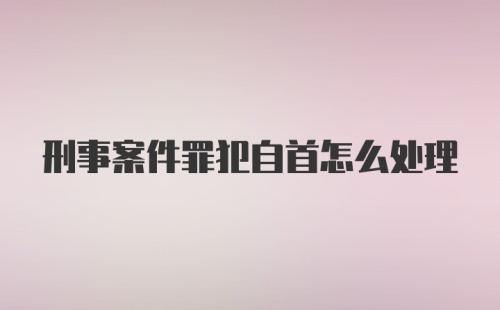 刑事案件罪犯自首怎么处理