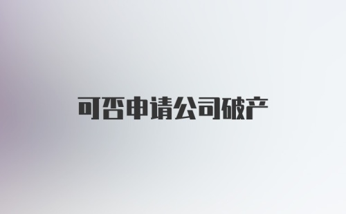 可否申请公司破产