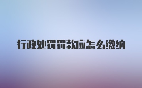 行政处罚罚款应怎么缴纳