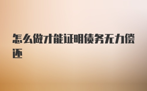 怎么做才能证明债务无力偿还