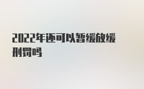 2022年还可以暂缓放缓刑罚吗