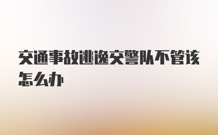 交通事故逃逸交警队不管该怎么办