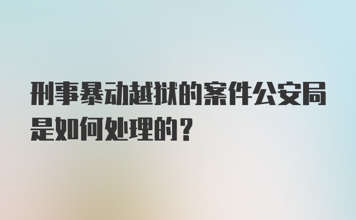 刑事暴动越狱的案件公安局是如何处理的？