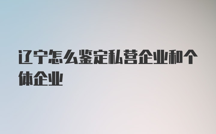 辽宁怎么鉴定私营企业和个体企业