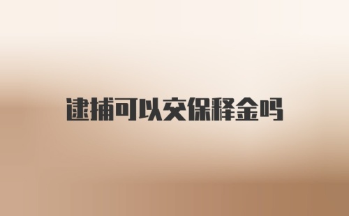 逮捕可以交保释金吗