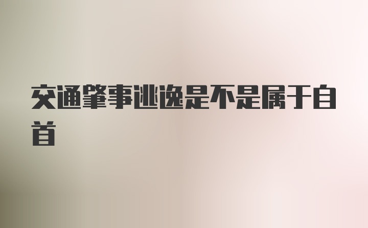 交通肇事逃逸是不是属于自首