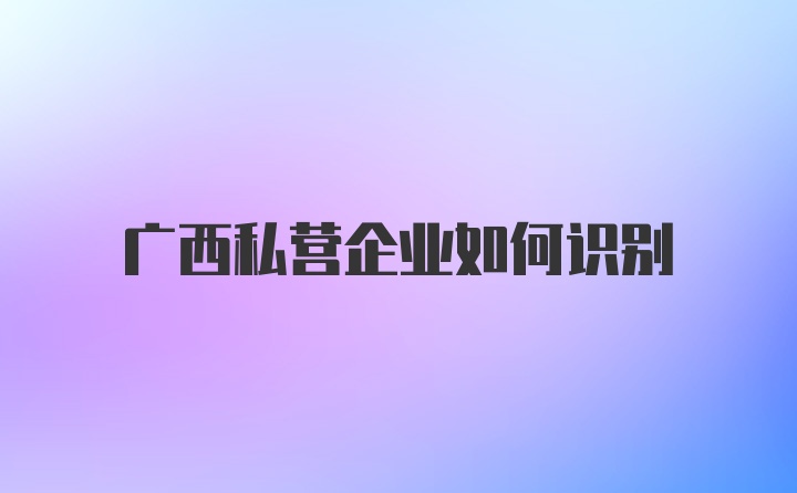 广西私营企业如何识别