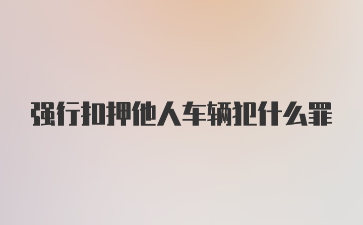 强行扣押他人车辆犯什么罪