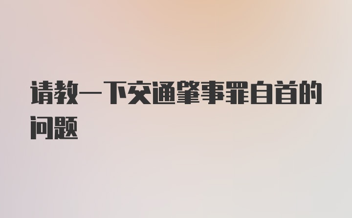 请教一下交通肇事罪自首的问题