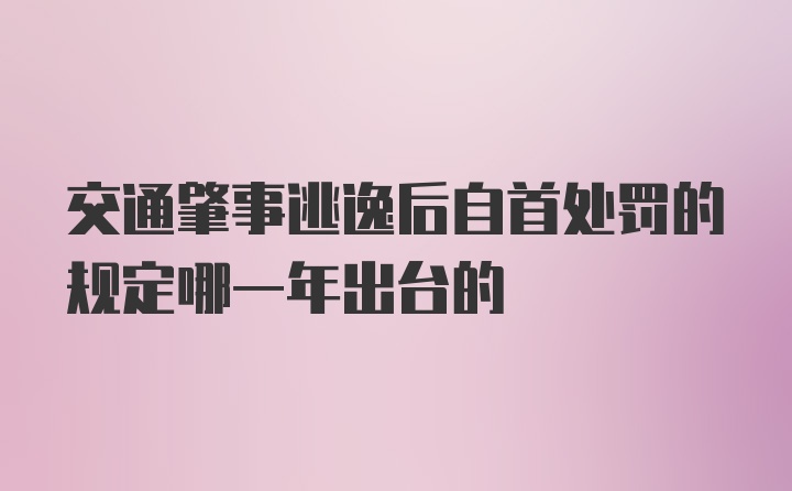 交通肇事逃逸后自首处罚的规定哪一年出台的