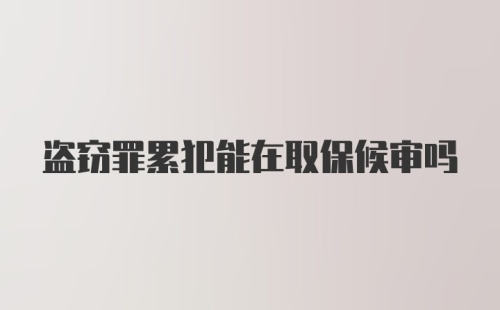 盗窃罪累犯能在取保候审吗