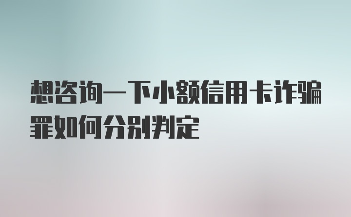 想咨询一下小额信用卡诈骗罪如何分别判定