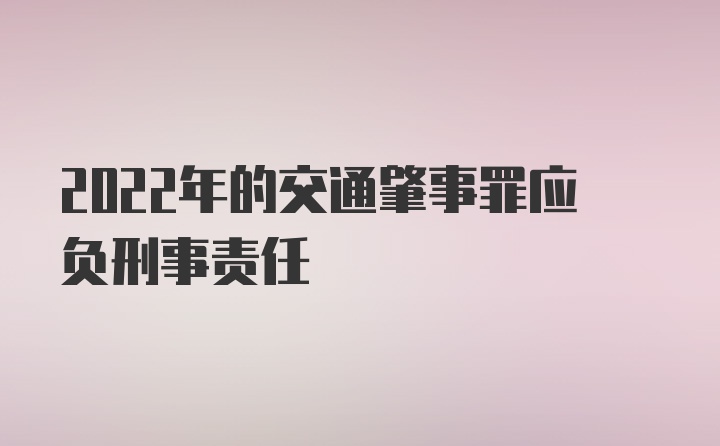 2022年的交通肇事罪应负刑事责任