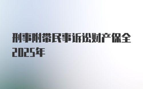 刑事附带民事诉讼财产保全2025年