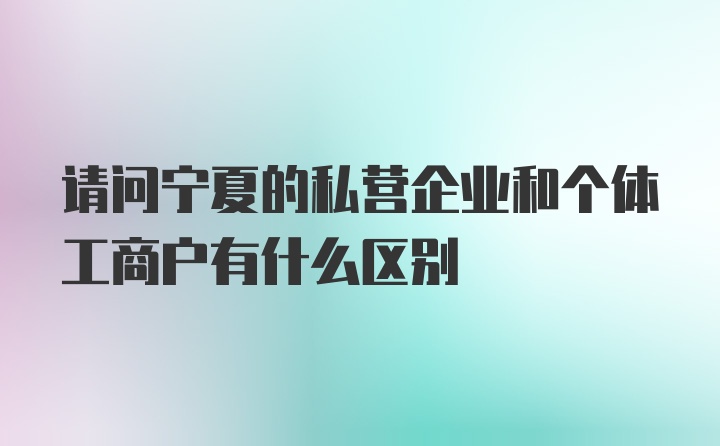 请问宁夏的私营企业和个体工商户有什么区别