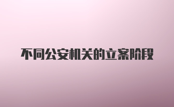 不同公安机关的立案阶段