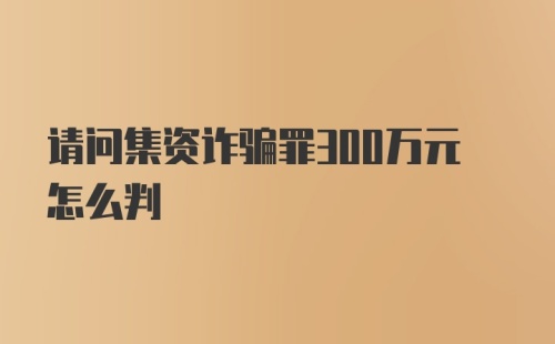 请问集资诈骗罪300万元怎么判