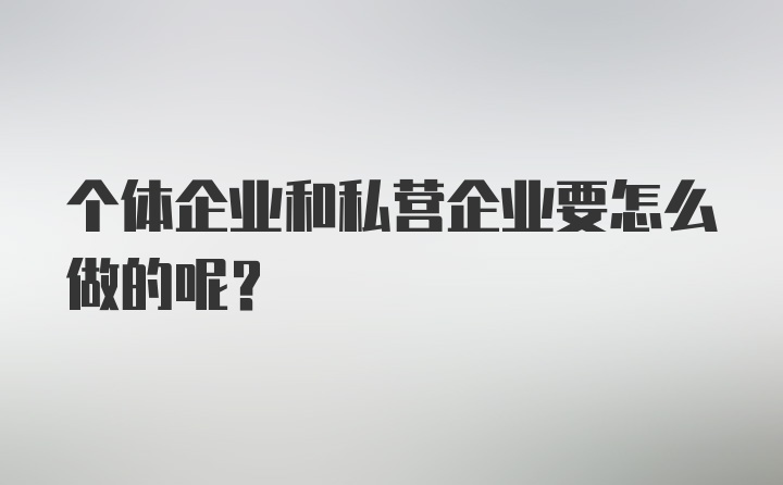 个体企业和私营企业要怎么做的呢？