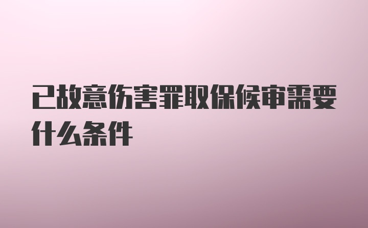 已故意伤害罪取保候审需要什么条件