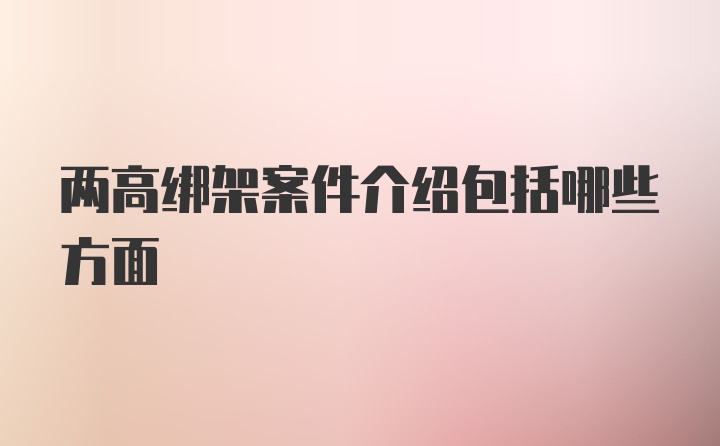 两高绑架案件介绍包括哪些方面