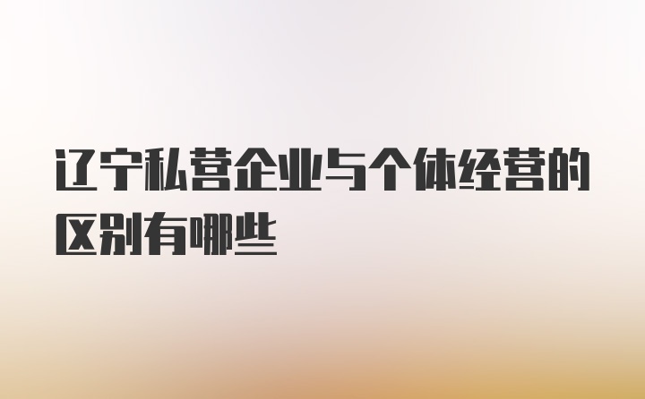 辽宁私营企业与个体经营的区别有哪些