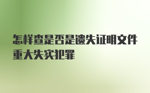 怎样查是否是遗失证明文件重大失实犯罪