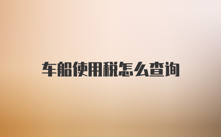 车船使用税怎么查询