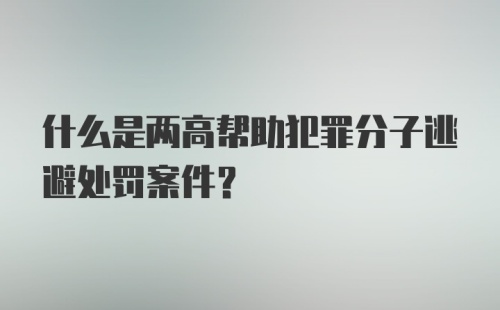 什么是两高帮助犯罪分子逃避处罚案件？