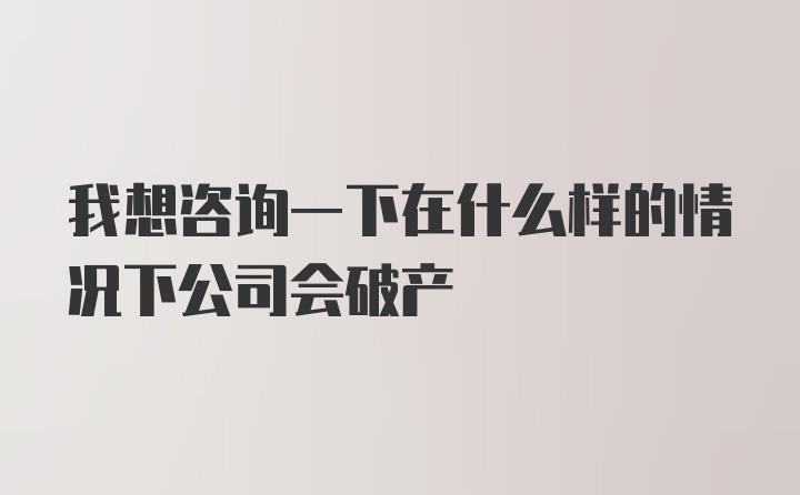 我想咨询一下在什么样的情况下公司会破产