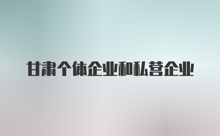 甘肃个体企业和私营企业