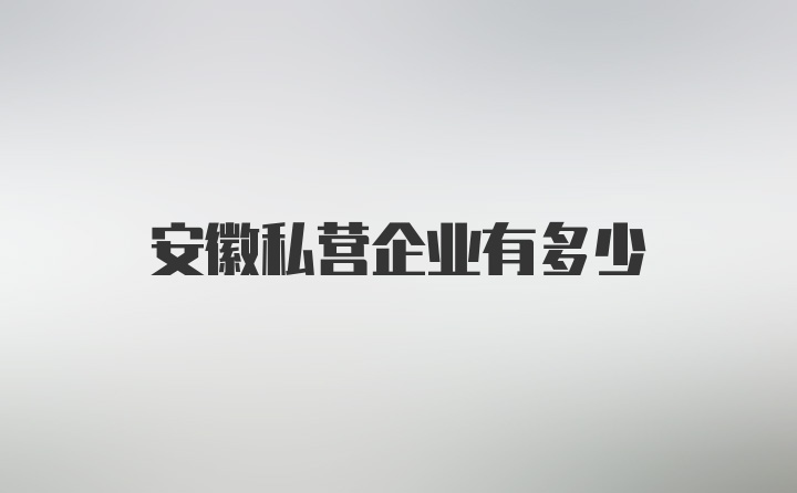 安徽私营企业有多少