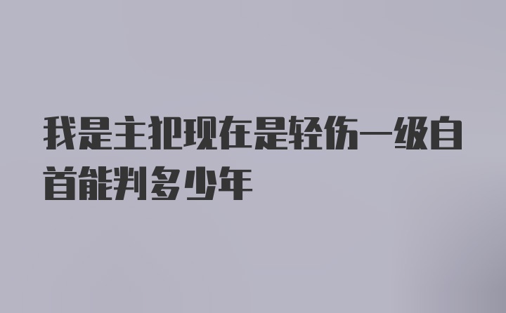 我是主犯现在是轻伤一级自首能判多少年