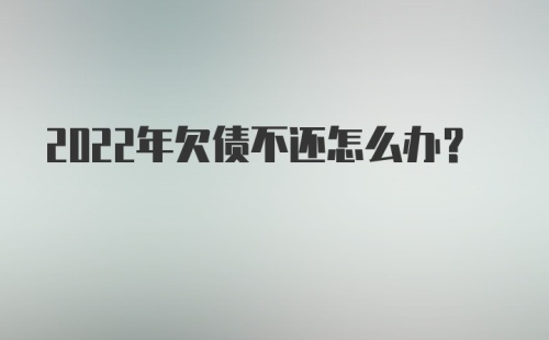 2022年欠债不还怎么办？