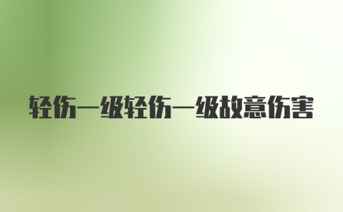 轻伤一级轻伤一级故意伤害