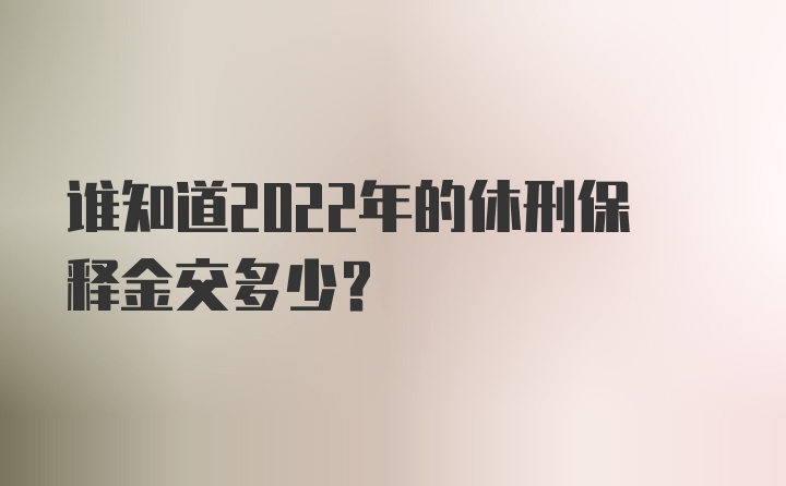 谁知道2022年的休刑保释金交多少？