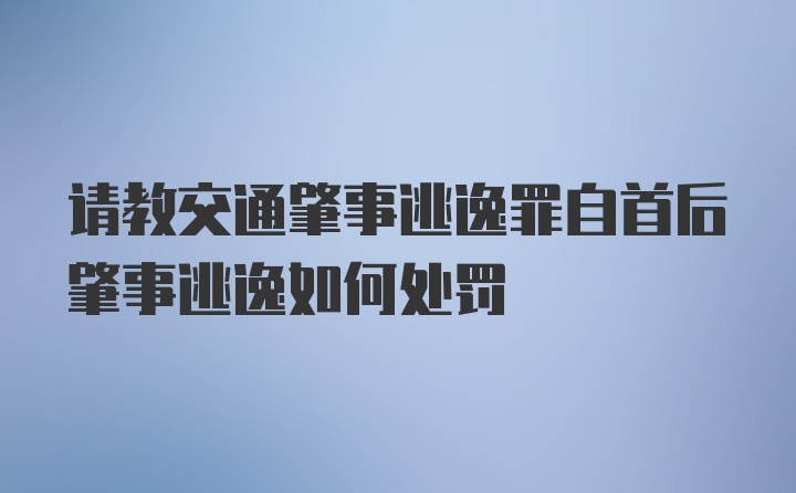 请教交通肇事逃逸罪自首后肇事逃逸如何处罚