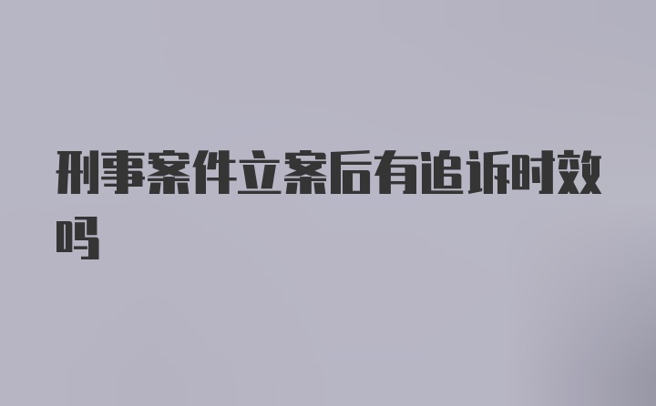 刑事案件立案后有追诉时效吗