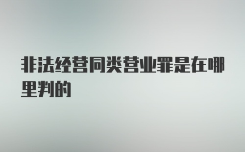 非法经营同类营业罪是在哪里判的