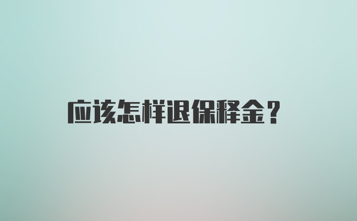 应该怎样退保释金？