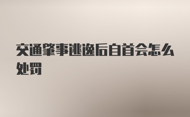 交通肇事逃逸后自首会怎么处罚