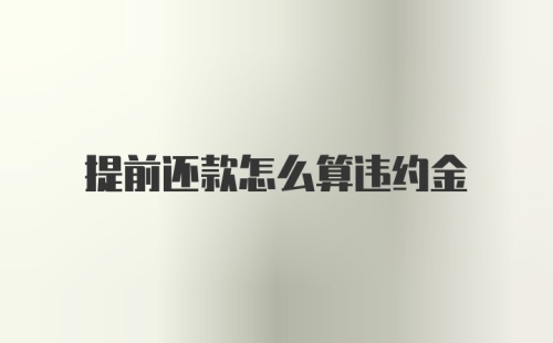 提前还款怎么算违约金