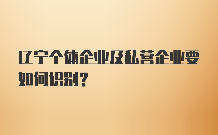 辽宁个体企业及私营企业要如何识别？